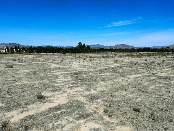 Terreno en Pedanías Este photo 3