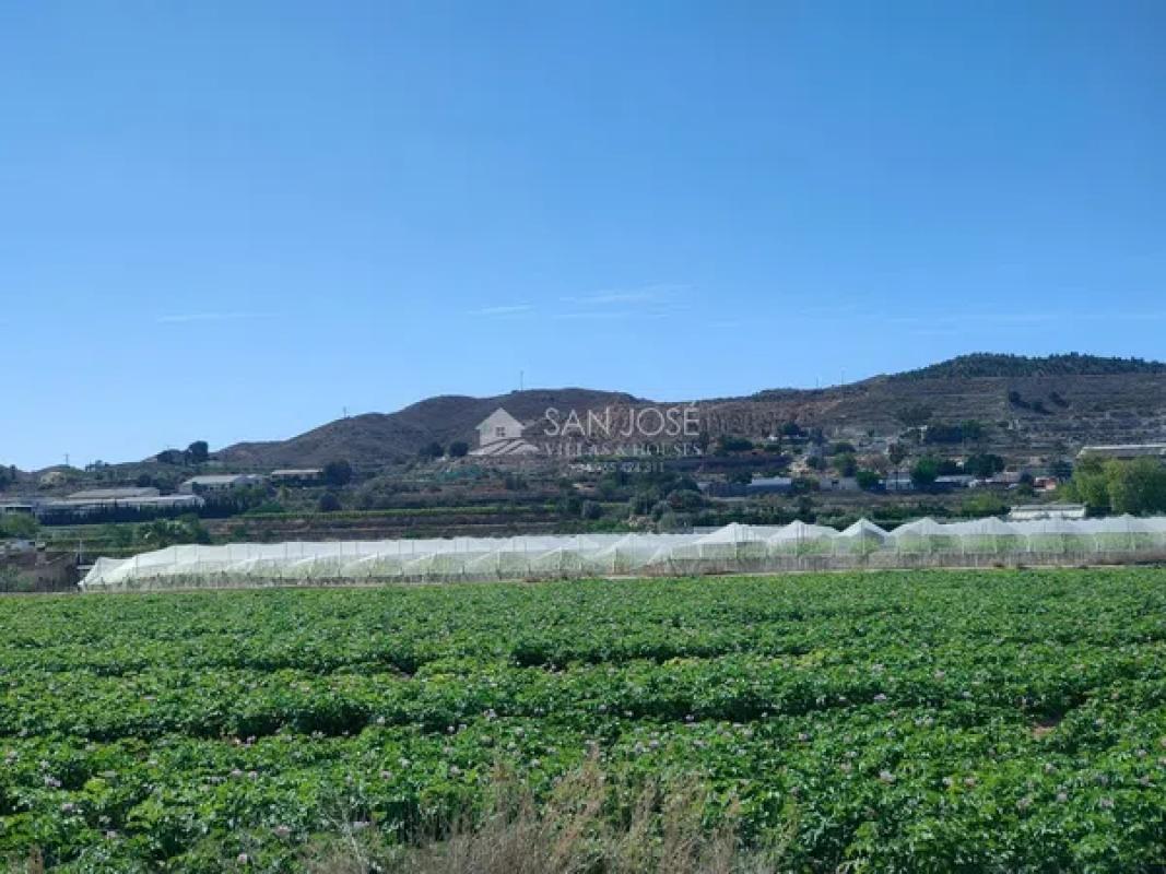 Terreno en venta en Aspe, Alicante photo 4
