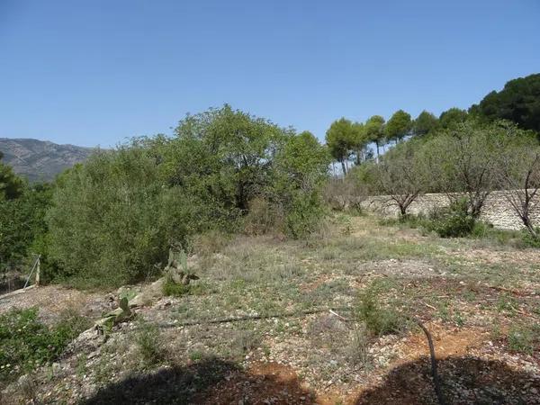 Terreno en Alcalalí photo 3