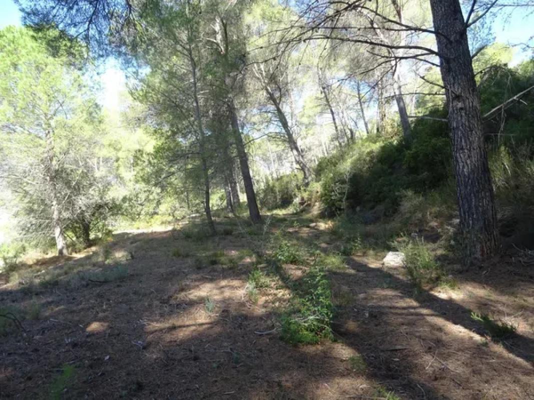 Działka na sprzedaż w Alcalalí, Alicante photo 2