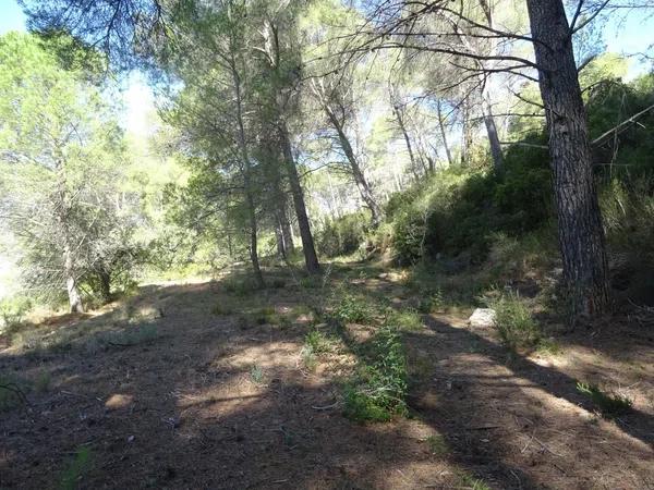 Terreno en Alcalalí photo 2