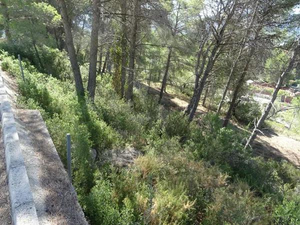 Terreno en Alcalalí photo 3