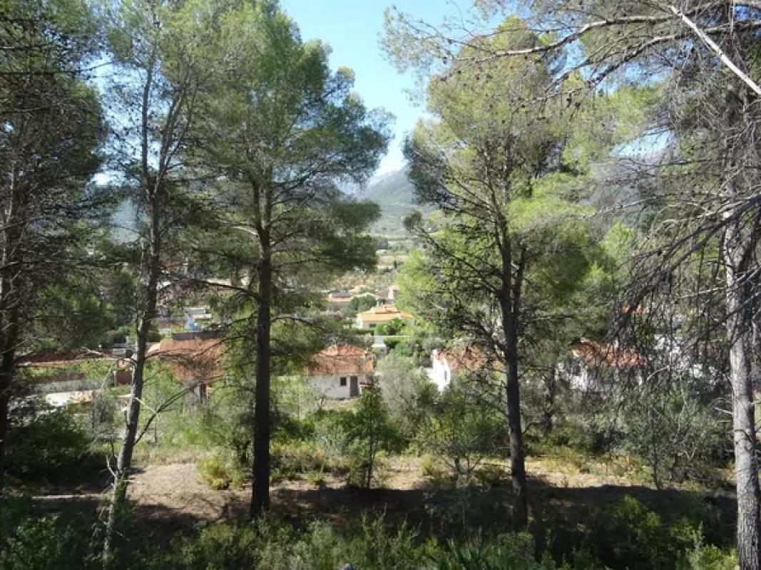 Działka na sprzedaż w Alcalalí, Alicante photo 5