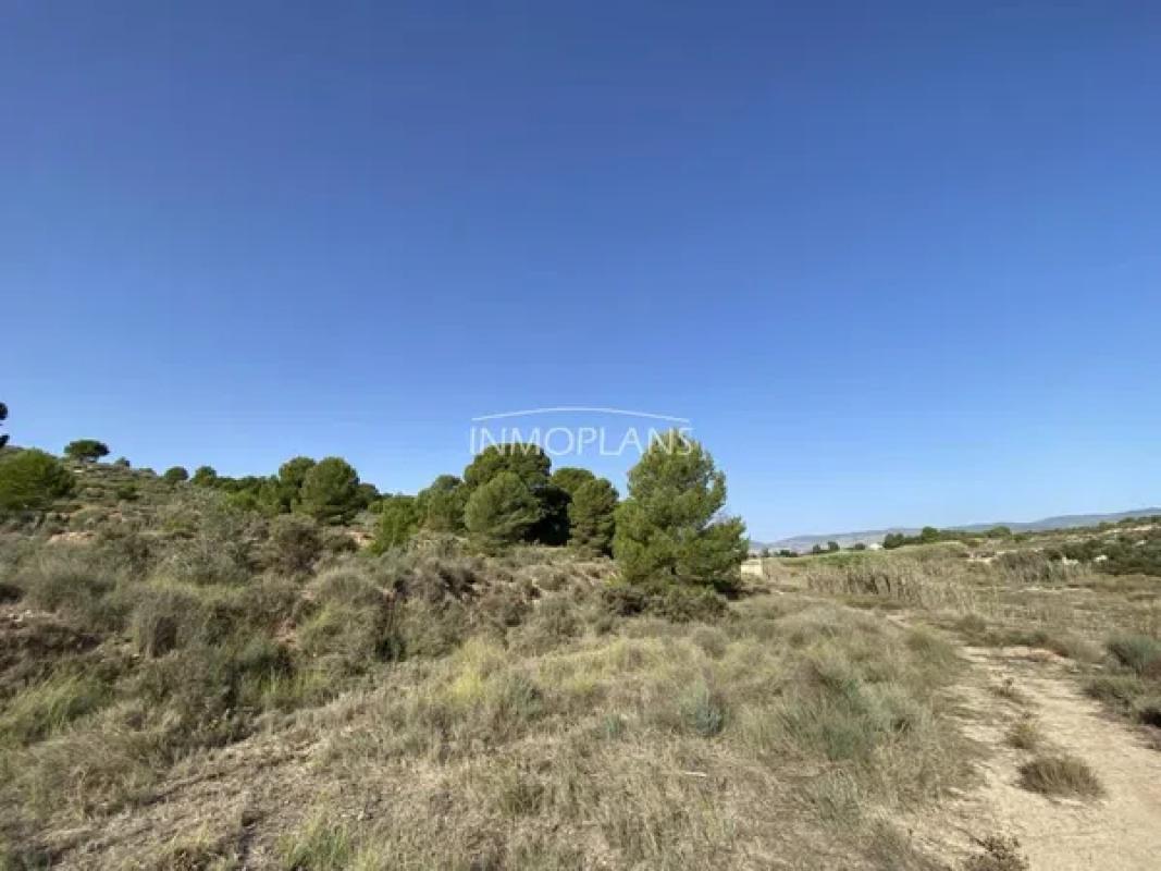 Działka na sprzedaż w Castalla, Alicante photo 4