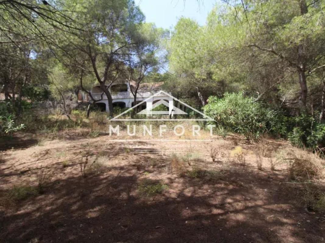 Terreno en venta en Orihuela, Alicante photo 1