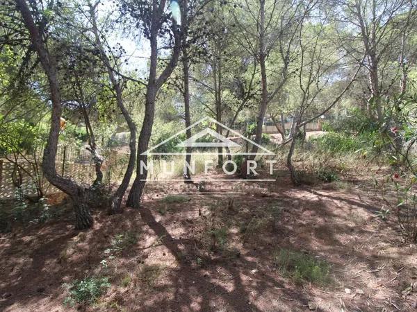 Terreno en Barrio Campoamor photo 4