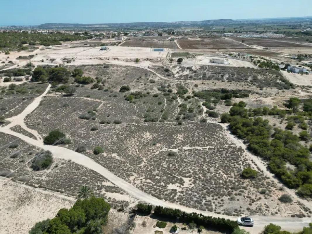 Działka na sprzedaż w Elche / Elx, Alicante photo 1