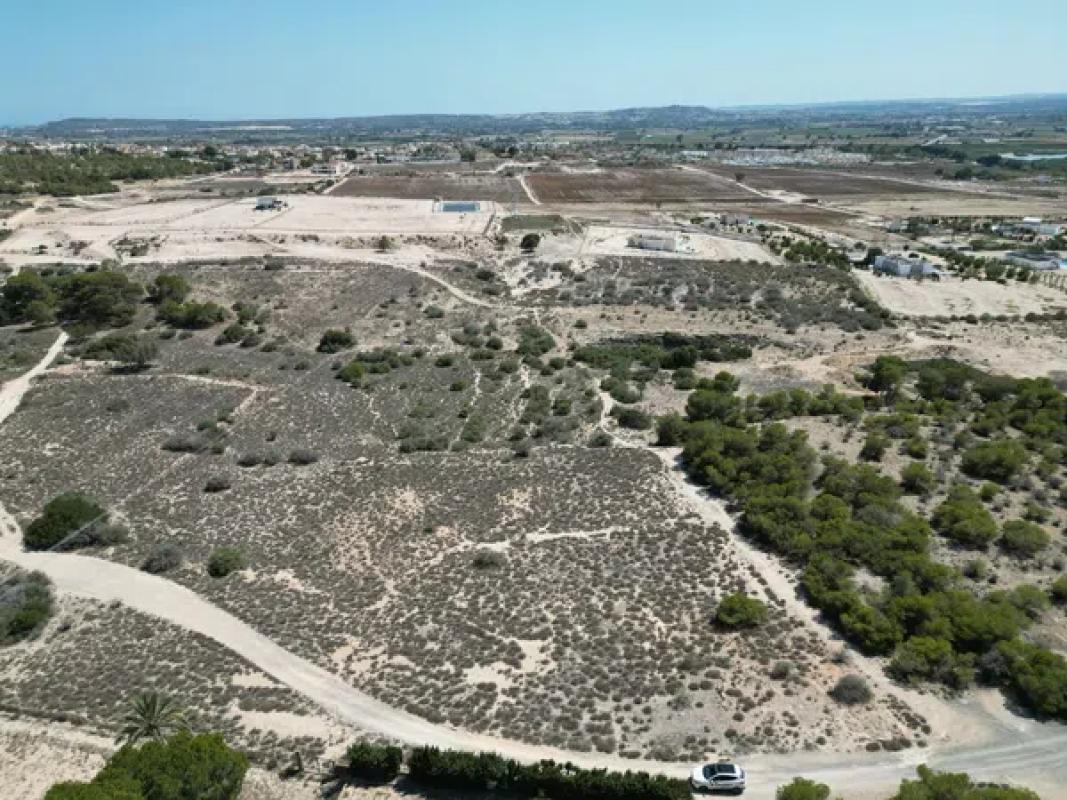 Działka na sprzedaż w Elche / Elx, Alicante photo 4