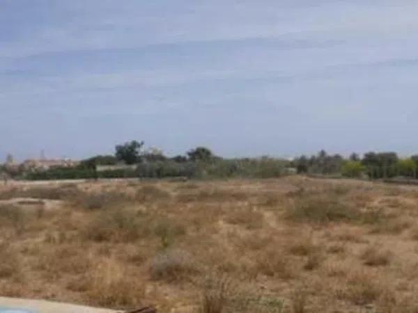 Terreno en Partida Sector i Z6 photo 3