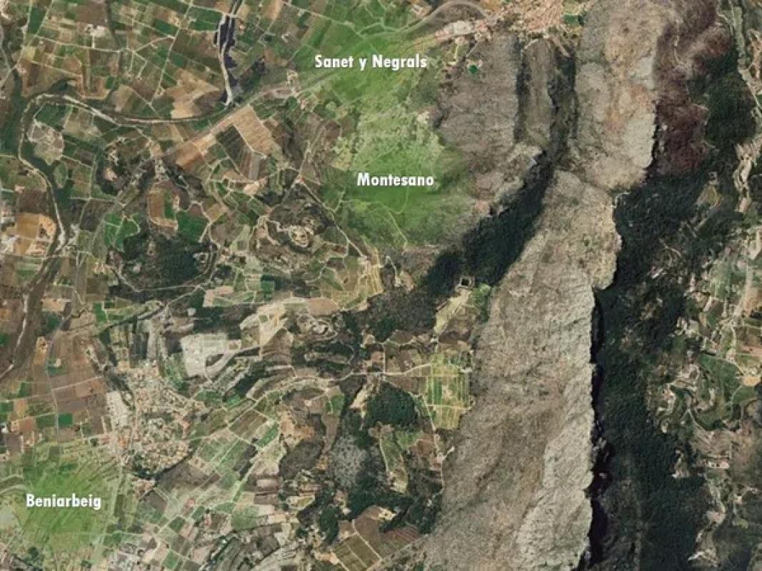 Land for sale in Sanet and Negrals, Alicante photo 5