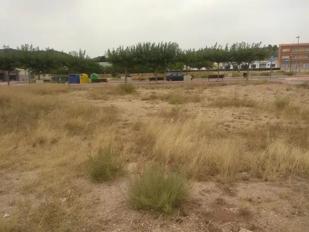 Terreno en venta en Monovar, Alicante photo 4