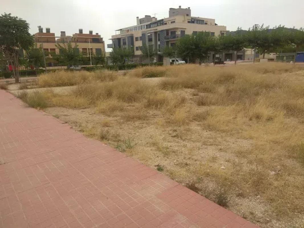 Terreno en venta en Monovar, Alicante photo 5