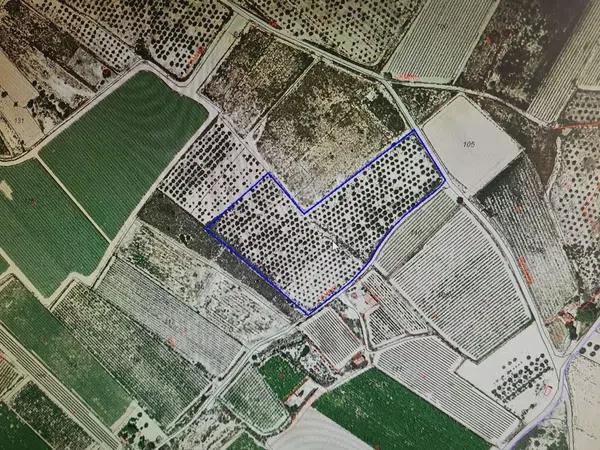 Terreno en Monforte del Cid photo 1
