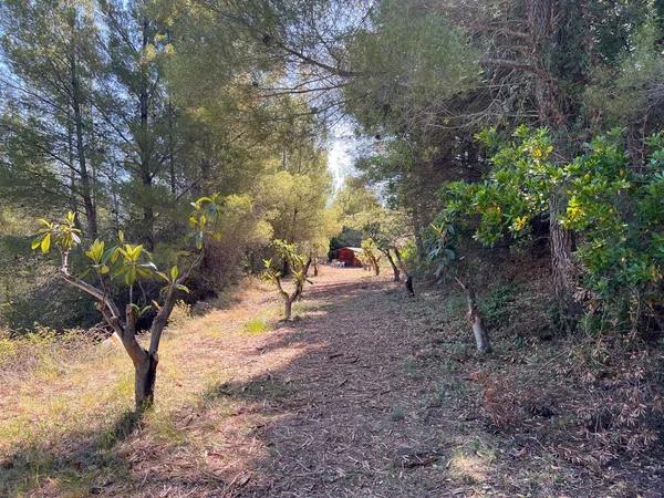Terreno en Guadalest photo 3