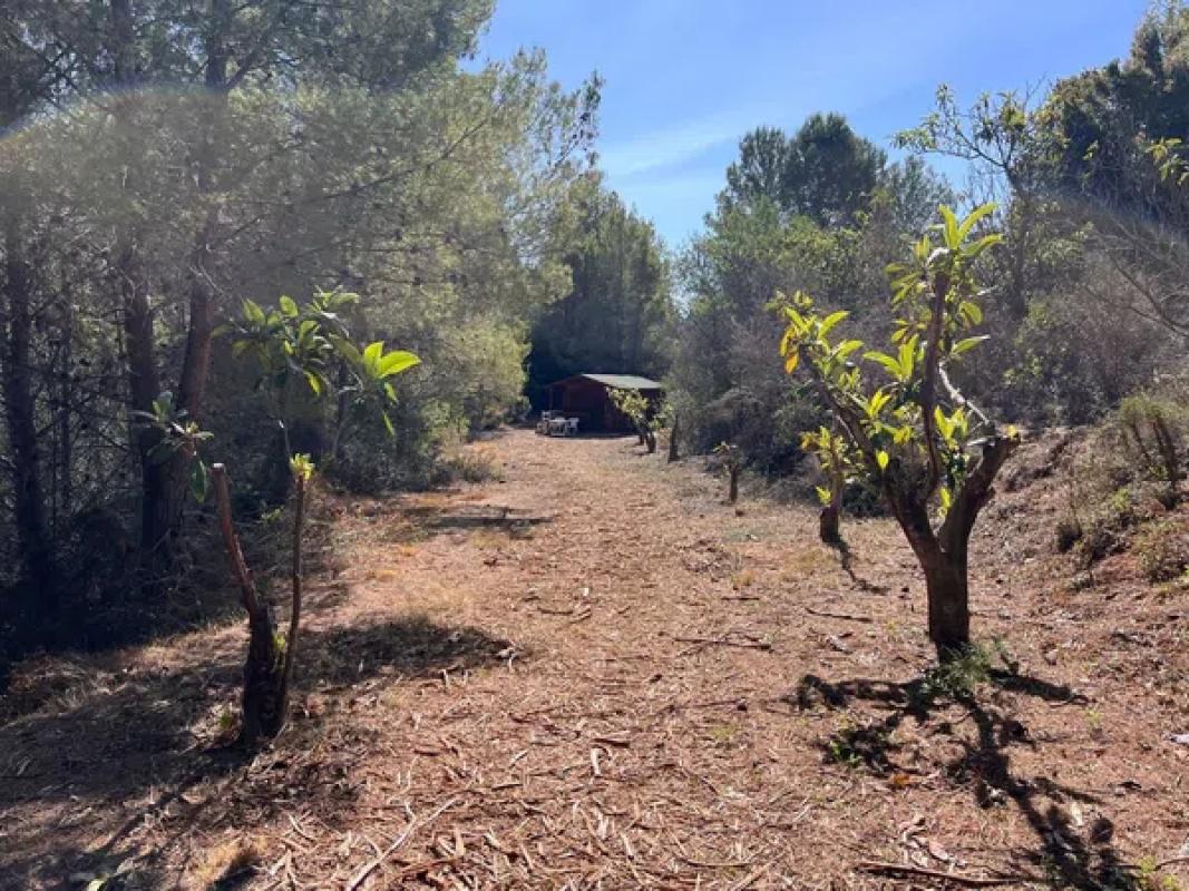 Działka na sprzedaż w Guadalest, Alicante photo 4