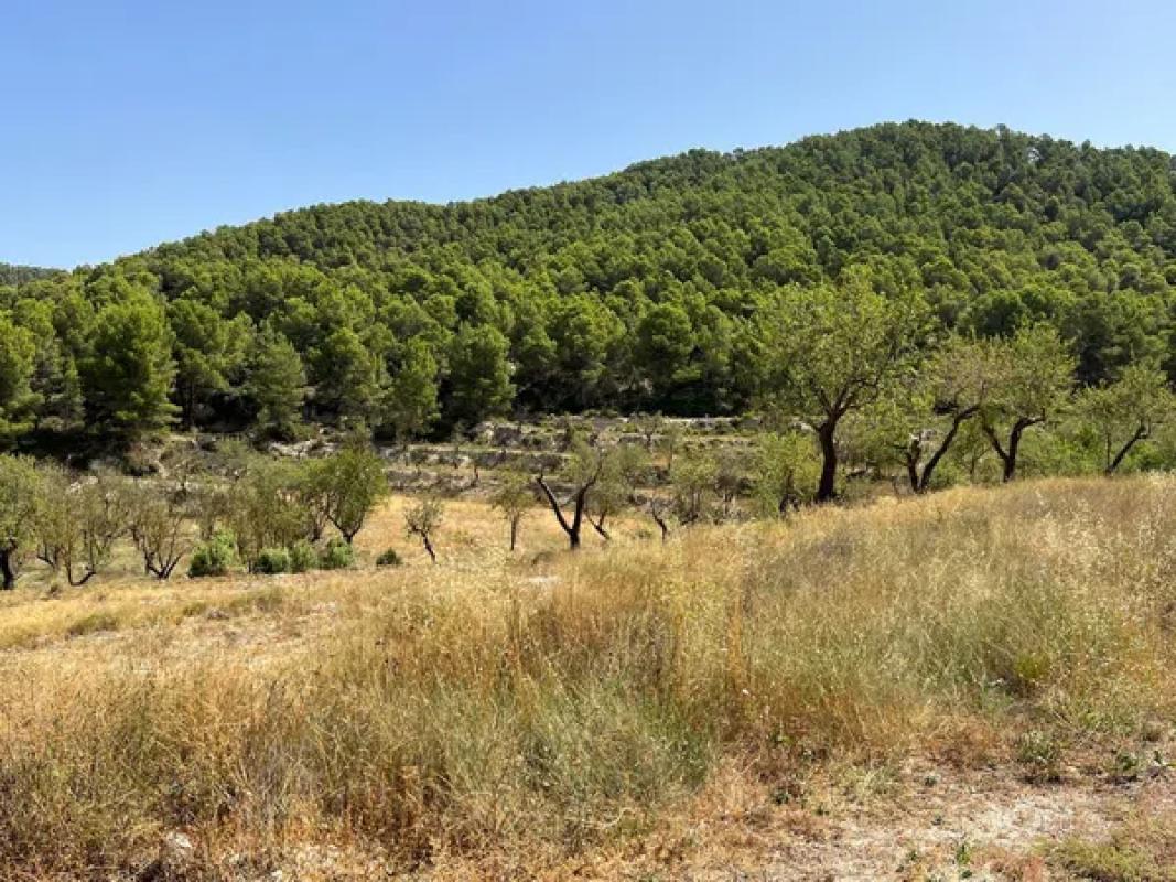Terreno en venta en Torremanzanas, Alicante photo 2