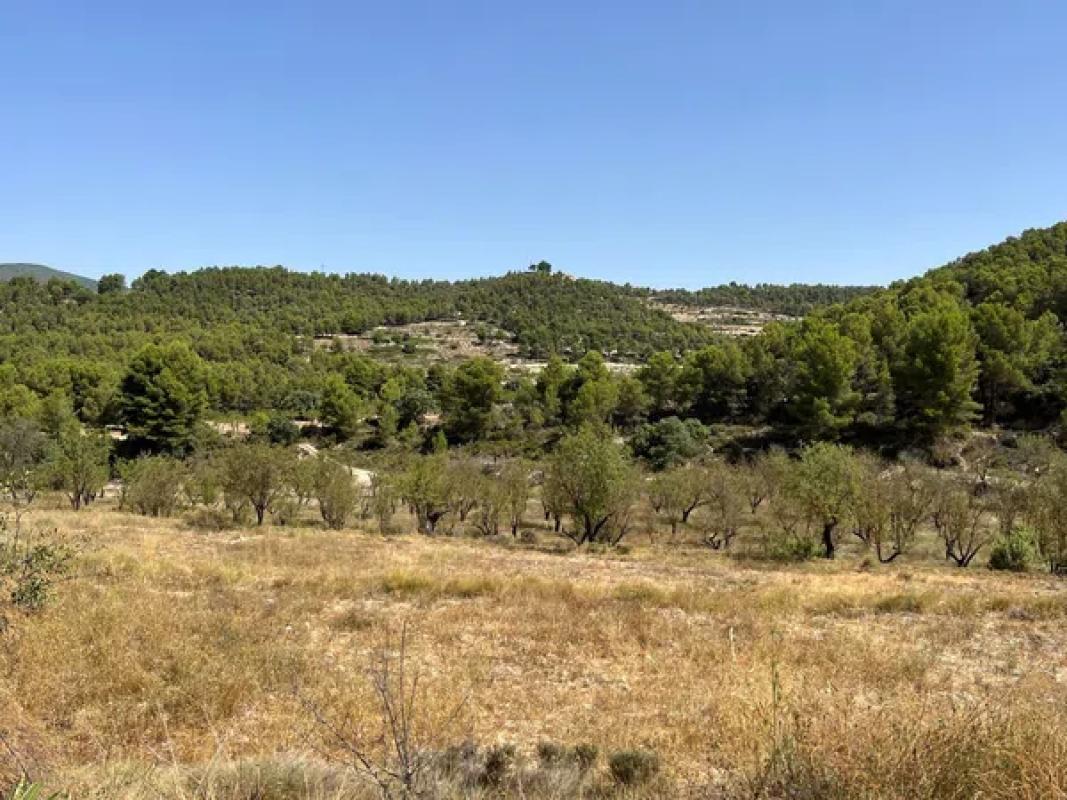 Terreno en venta en Torremanzanas, Alicante photo 4