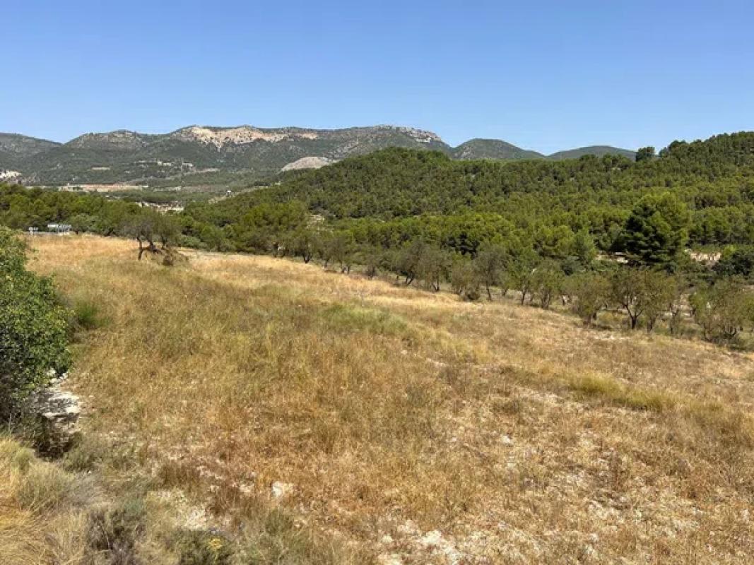 Terreno en venta en Torremanzanas, Alicante photo 5