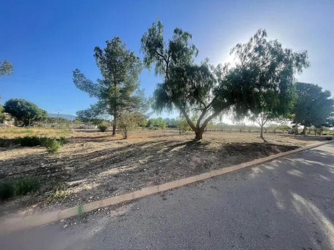 Terreno en venta en Pinoso, Alicante photo 1