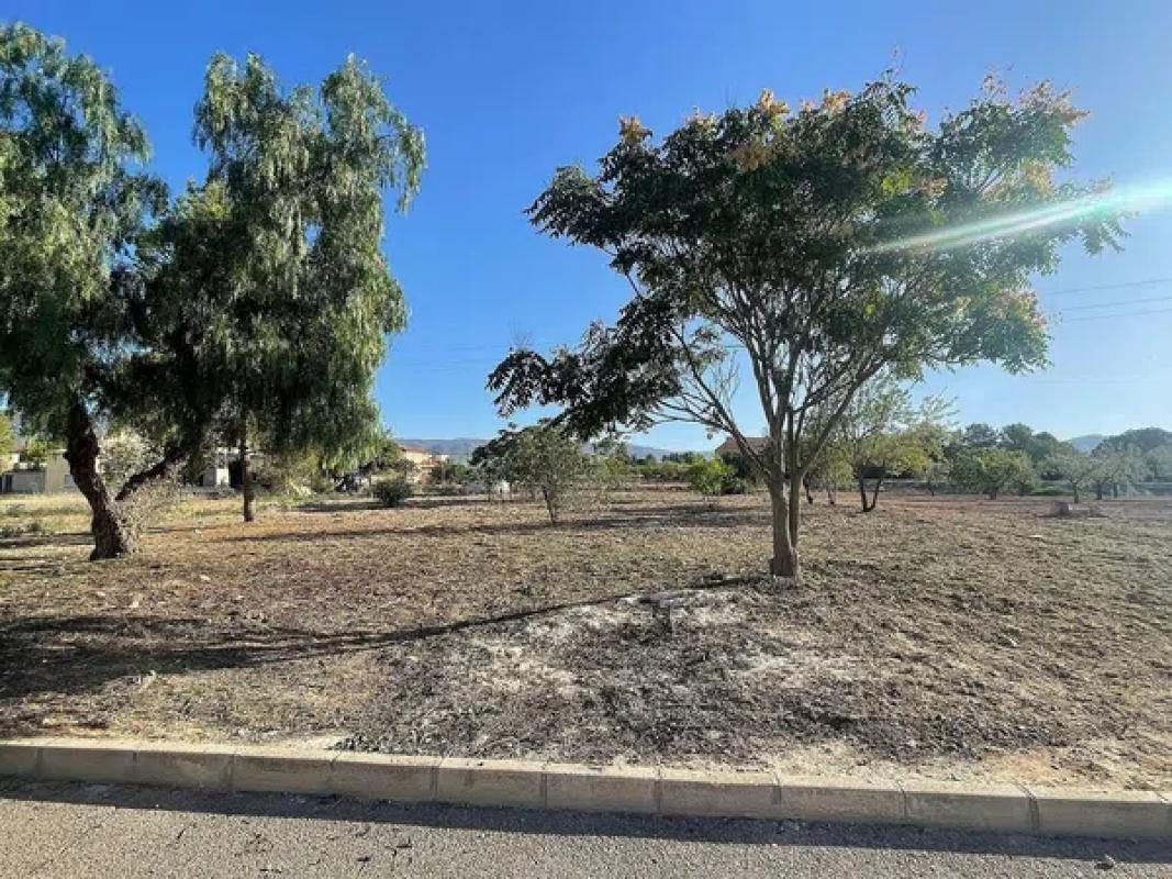 Terreno en venta en Pinoso, Alicante photo 3