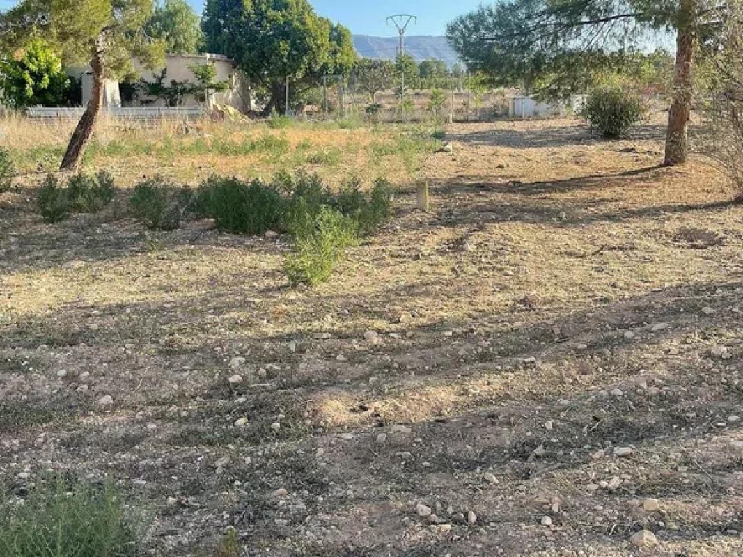 Terreno en venta en Pinoso, Alicante photo 4