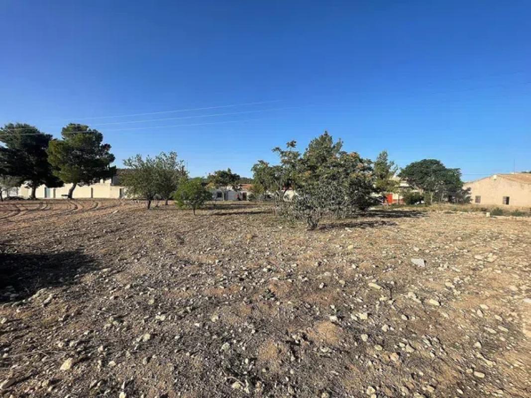 Terreno en venta en Pinoso, Alicante photo 5