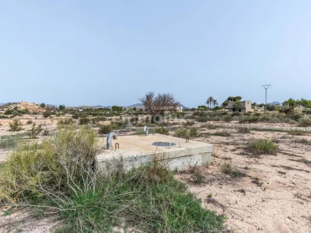 Land for sale in Moralet, Alicante photo 3