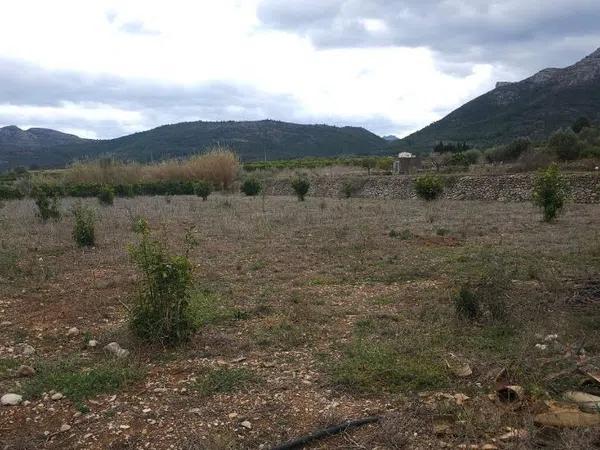 Terreno en Alcalalí photo 1
