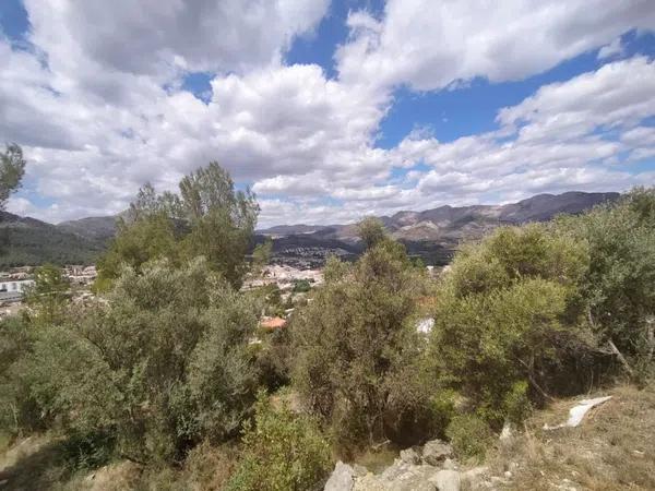 Terreno en Orba photo 1