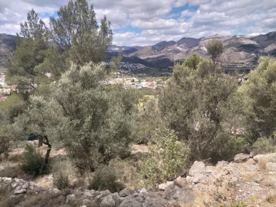 Terreno en venta en Orba, Alicante photo 2