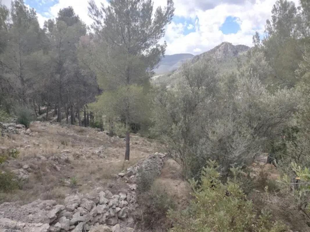 Terreno en venta en Orba, Alicante photo 3