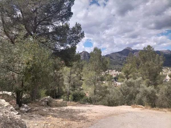 Terreno en Orba photo 4