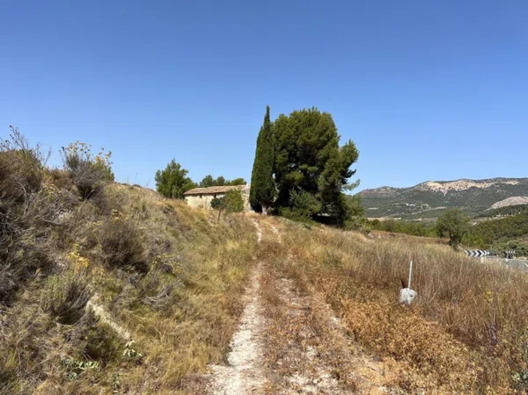 Działka na sprzedaż w Torremanzanas, Alicante photo 3
