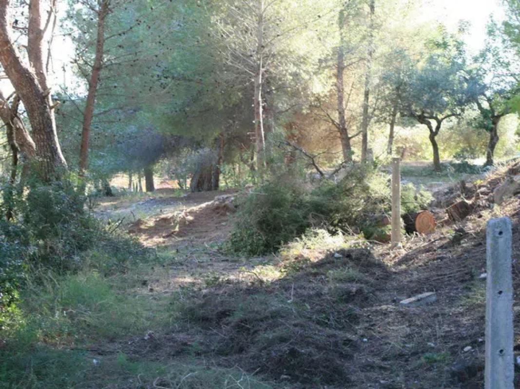 Land for sale in Benitachell, Alicante photo 4