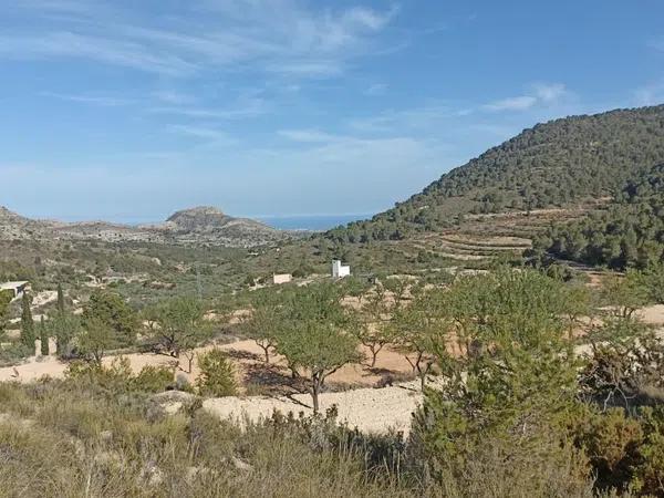 Terreno en Poligono 12, parcela 70, Partida Castillo s/n thumbnail 1