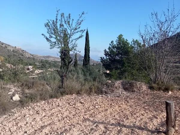Terreno en Poligono 12, parcela 70, Partida Castillo s/n thumbnail 2