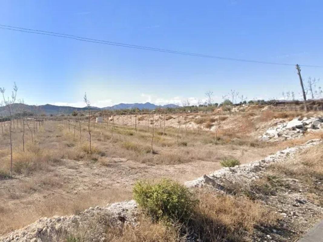 Terreno en venta en Novelda, Alicante photo 1