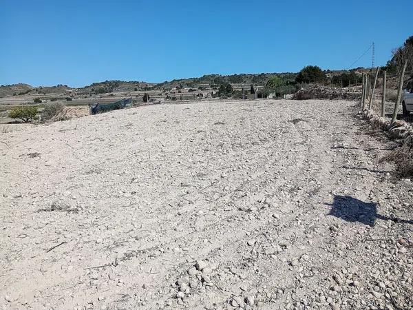 Terreno en Monforte del Cid photo 4
