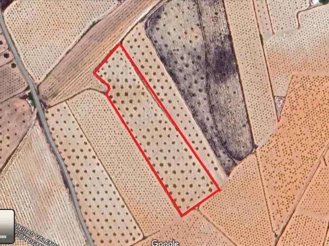 Terreno en venta en Algueña, Alicante photo 2