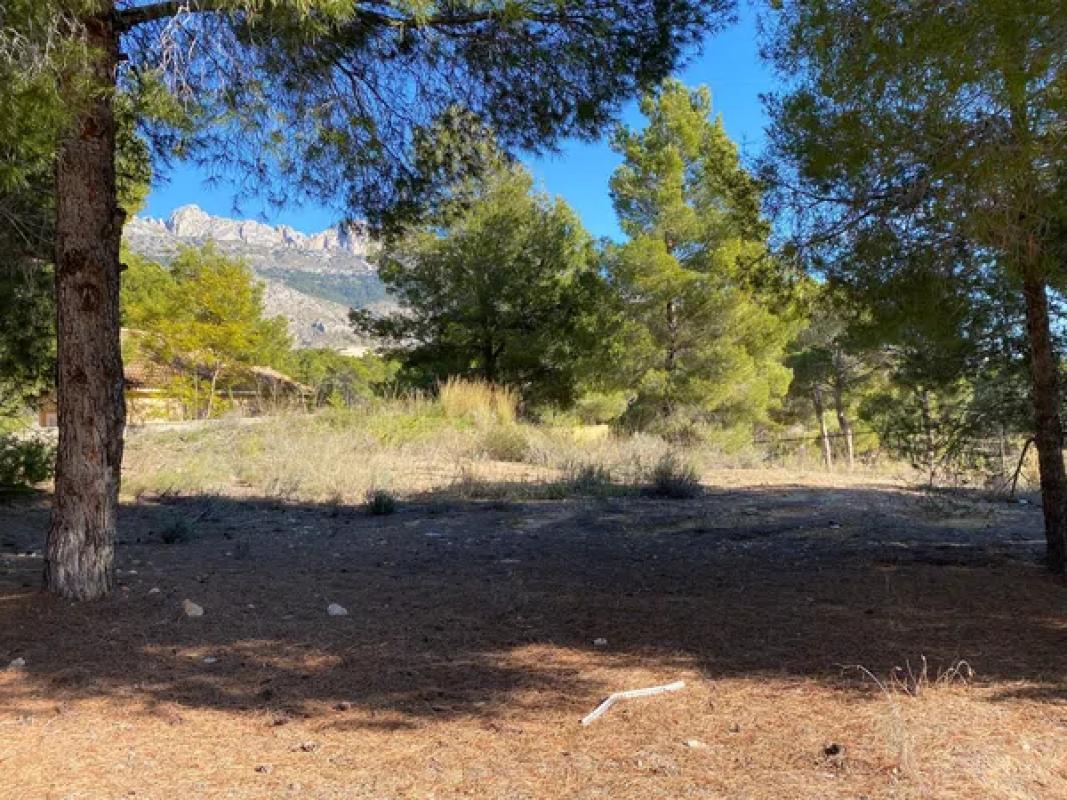 Terreno en venta en Altea, Alicante photo 1