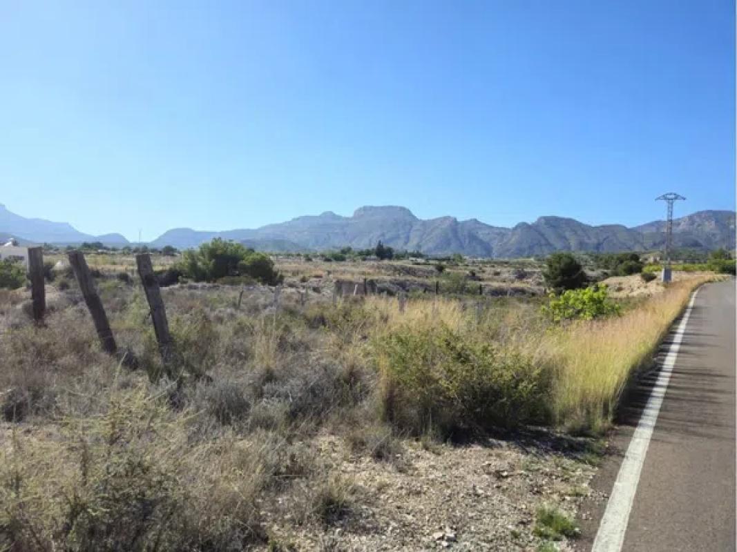 Land for sale in August, Alicante photo 1