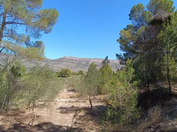 Terreno en Gayanes photo 1