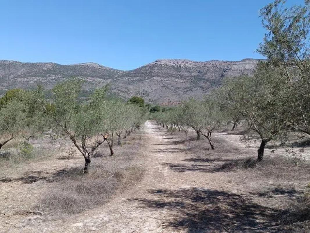 Działka na sprzedaż w Gajanes, Alicante photo 2