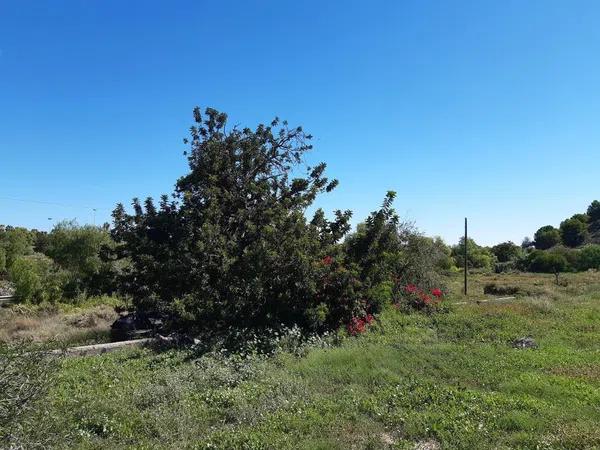 Terreno en Salafranca - Lloixa thumbnail 2