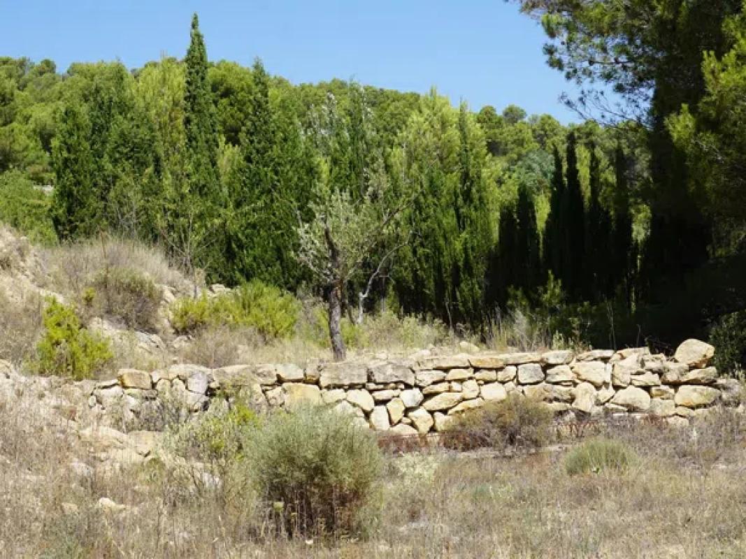 Terreno en venta en Ibi, Alicante photo 3