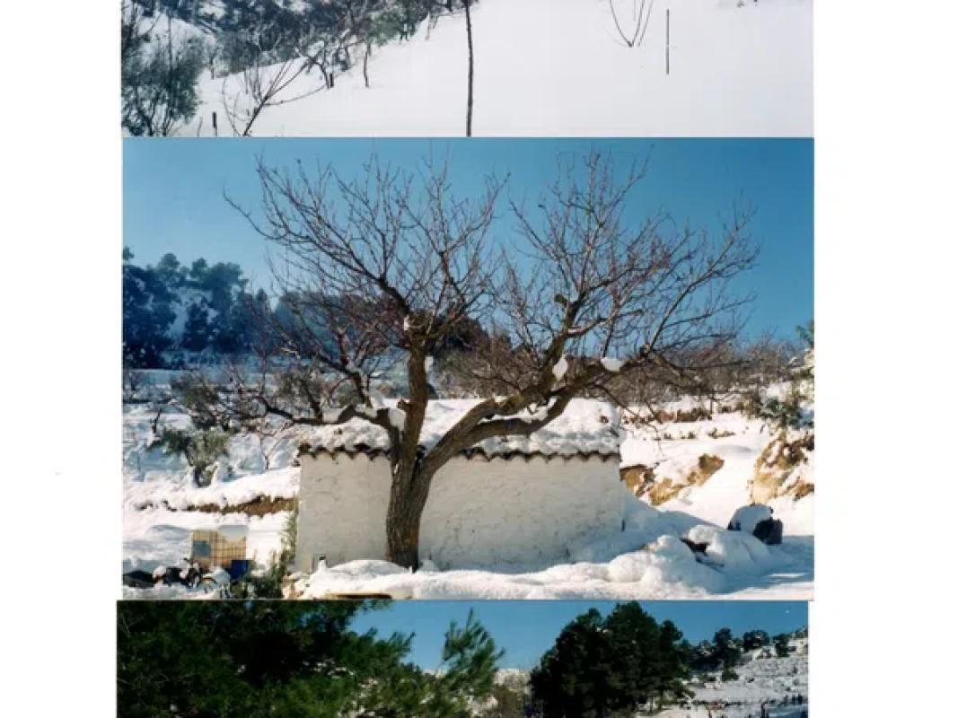 Terreno en venta en Ibi, Alicante photo 4