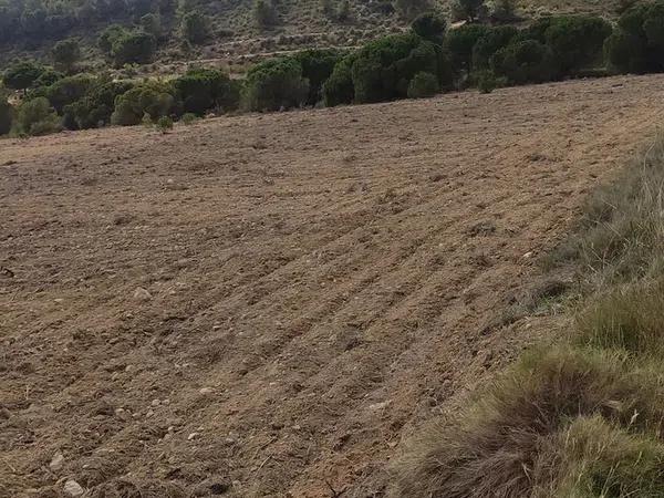 Terreno en Cantalar poligono 22, 10 Parcela thumbnail 1