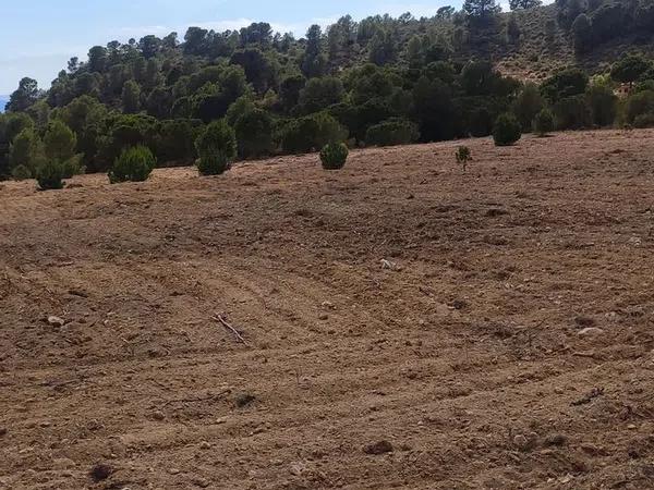 Terreno en Cantalar poligono 22, 10 Parcela thumbnail 2