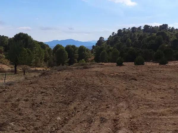 Terreno en Cantalar poligono 22, 10 Parcela photo 4