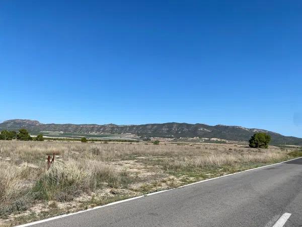 Terreno en carretera Monovar s/n sn photo 1